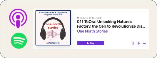 Podcasts & Interviews