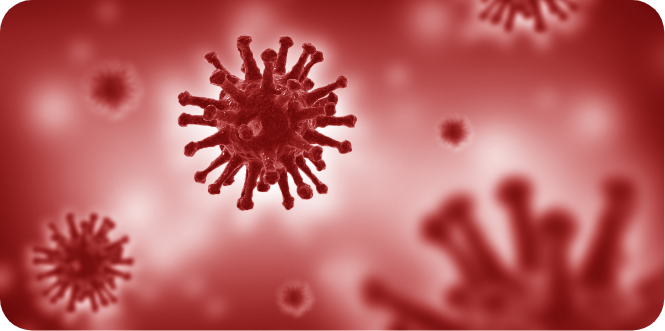 Outbreaks End Before They Begin